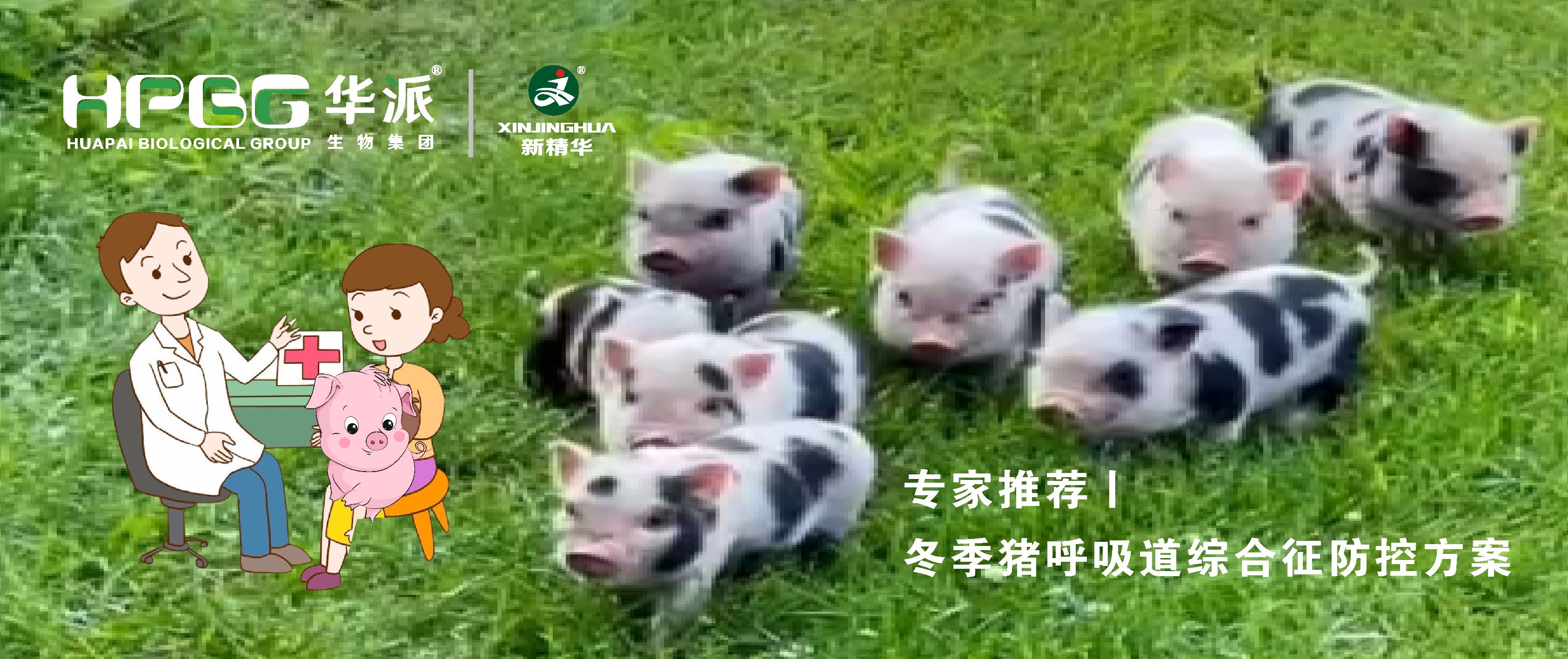 ��Ƶح�������������ۺ������ؼƻ������պ�&hellip;&hellip;