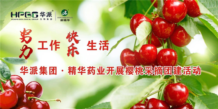 ������ �������� | ���ɼ���&middot;ŷ��abgҩҵ��չӣ�Ҳ�ժ�Ž��