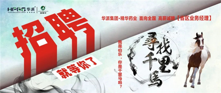 Ѱ��ǧ���� | ���ɼ���&bull;ŷ��abgҩҵ�� �����¸�н��Ƹ��ʡ��Ӫҵ˾���� ���ǲ���������ǧ��������