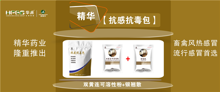 ���գ����ֳ��������˷���ʢ�����˷�ķ��� |�����п��������������ס������Ŷ����������������ݷ����˷硢ʢ���˷���ѡ!