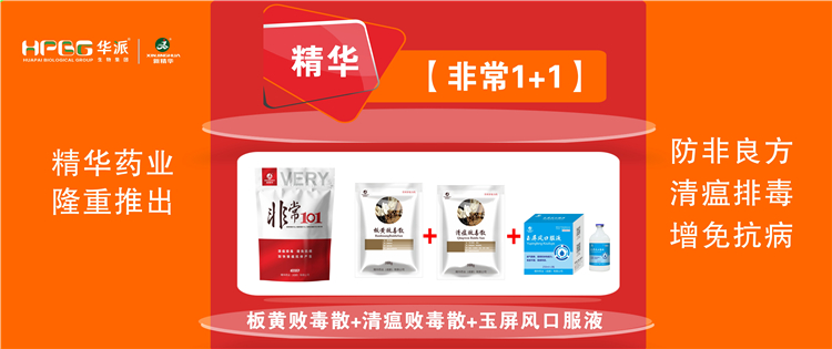 ���գ������������ز��� |������1+1����������, �����Ŷ������⿹���������������屬��!