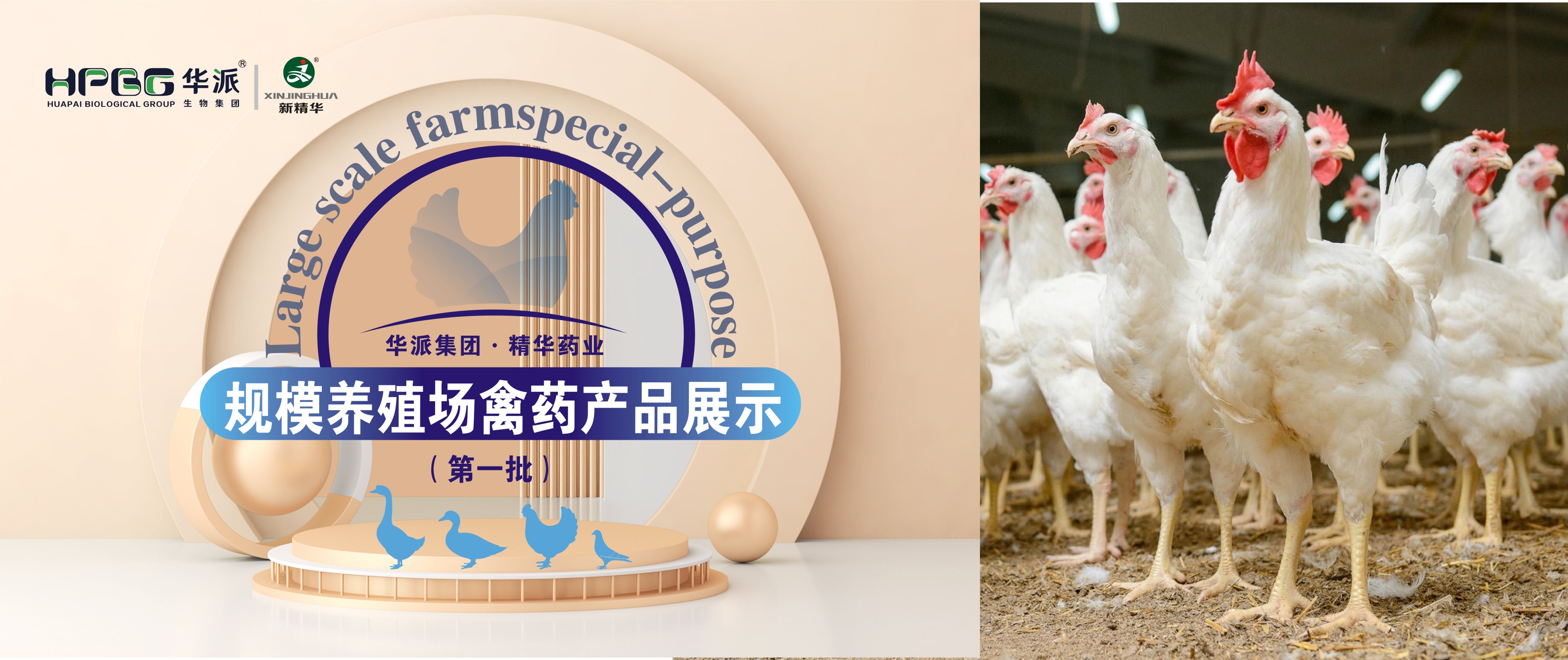 ��������ֳ��ר�� | ���ɼ���&middot;ŷ��abgҩҵ��������ֳ����ҩ��Ʒչʾ����һ����